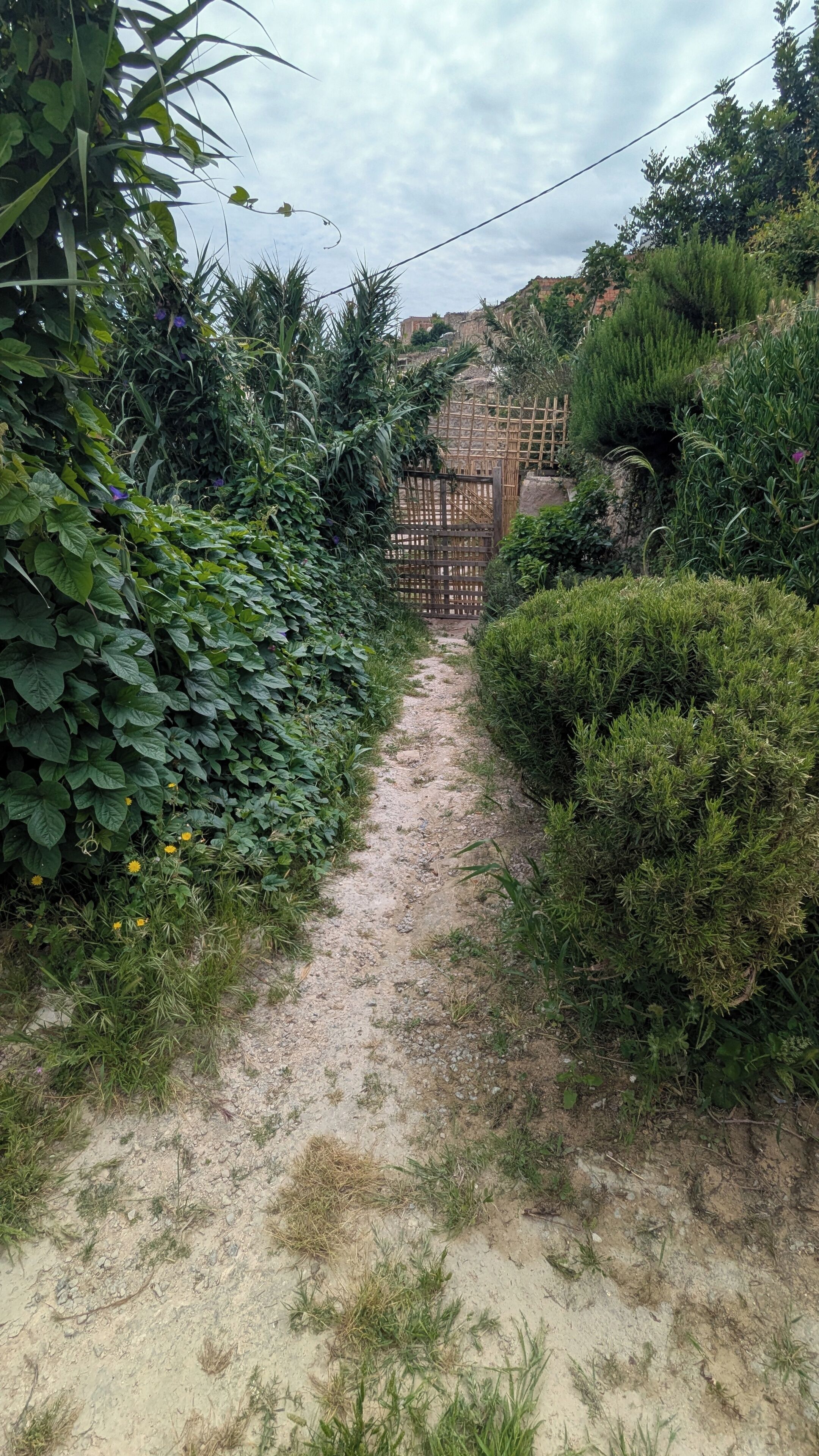 Terrain de l’hébergement 