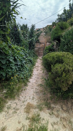 Un sentier de terre mène à une porte en bois, elle-même entourée d’une végétation luxuriante.