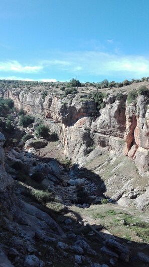 Unclassified image, 2 of 8, button - Gîte zitoun at Noureddine Lgarah in Karmat ben Salem commune oualili (volubilis) (MOULAY DRISS)