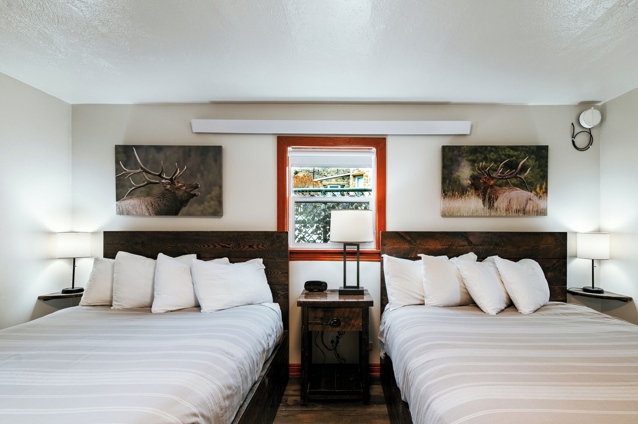 Habitación doble con dos camas, una ventana con vistas y dos cuadros de ciervos colgados en la pared.