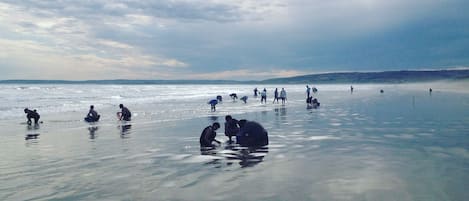 In StrandnĂ€he, LiegestĂŒhle