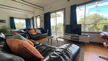 TV, DVD player, books, video library