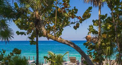 Ultra-Lux 5-Bedroom Oceanfront Escape with Infinity Pool