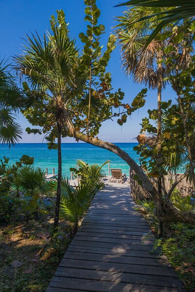 Ultra-Lux 5-Bedroom Oceanfront Escape with Infinity Pool