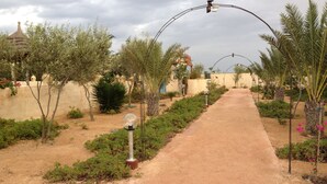 A pathway lined with plants and a street lamp. - House / Villa - Guizen djerba (djerba)