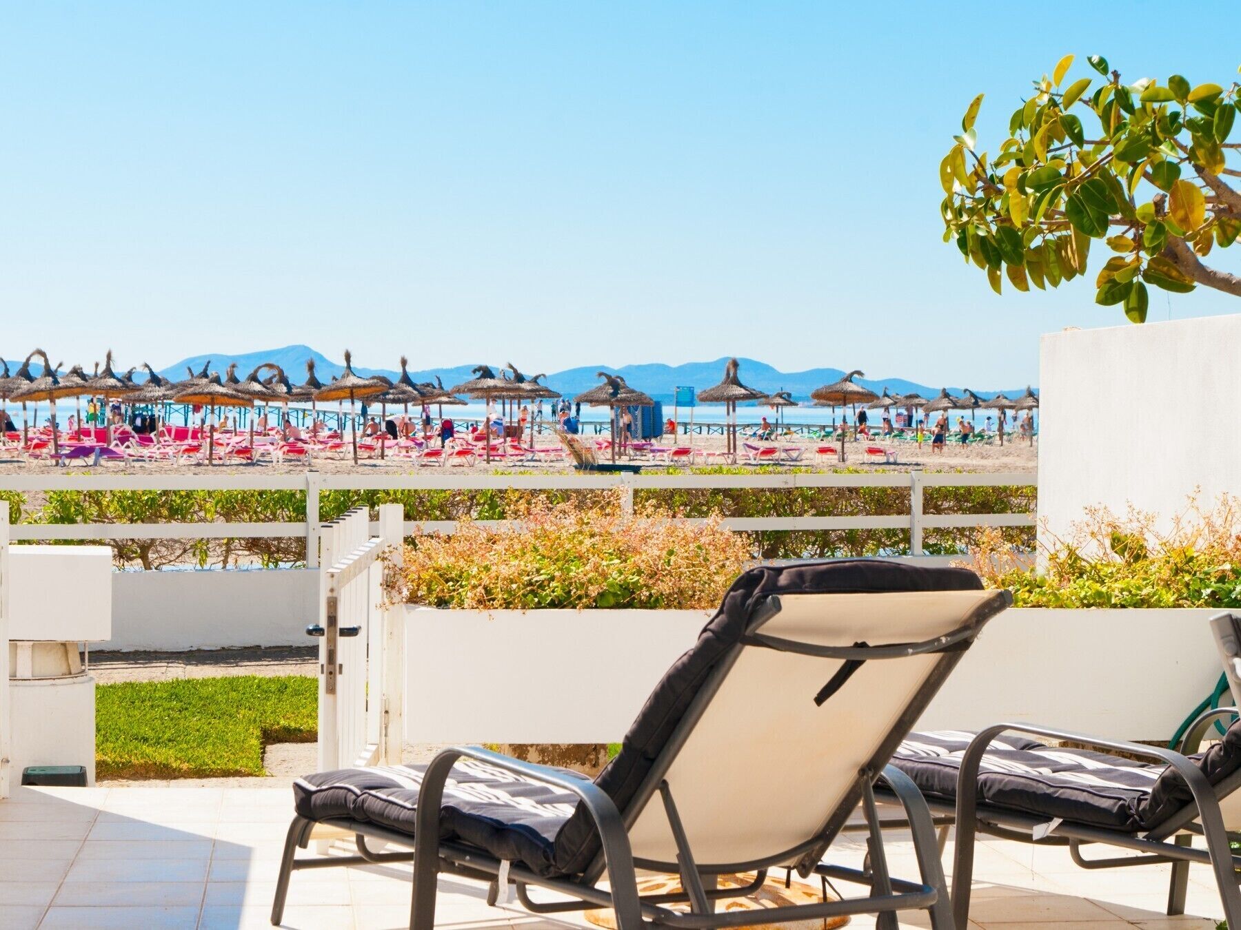 A beach view with lounge chairs and umbrellas.