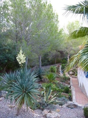 Property grounds - QUIET WELL-BEING OASIS FOR INDIVIDUALISTS (Costa de la Calma)
