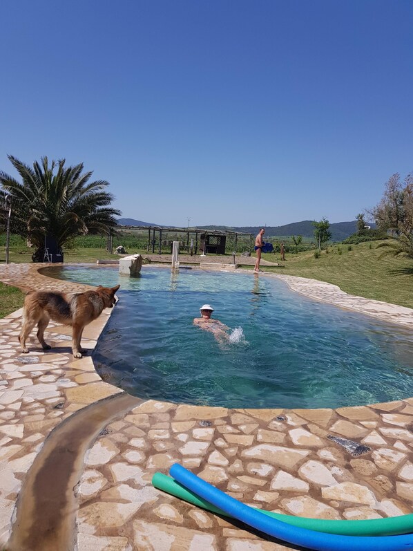 Outdoor pool, a heated pool