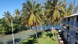 Un hôtel doté d’un court de tennis, de palmiers et offrant une vue sur l’eau.