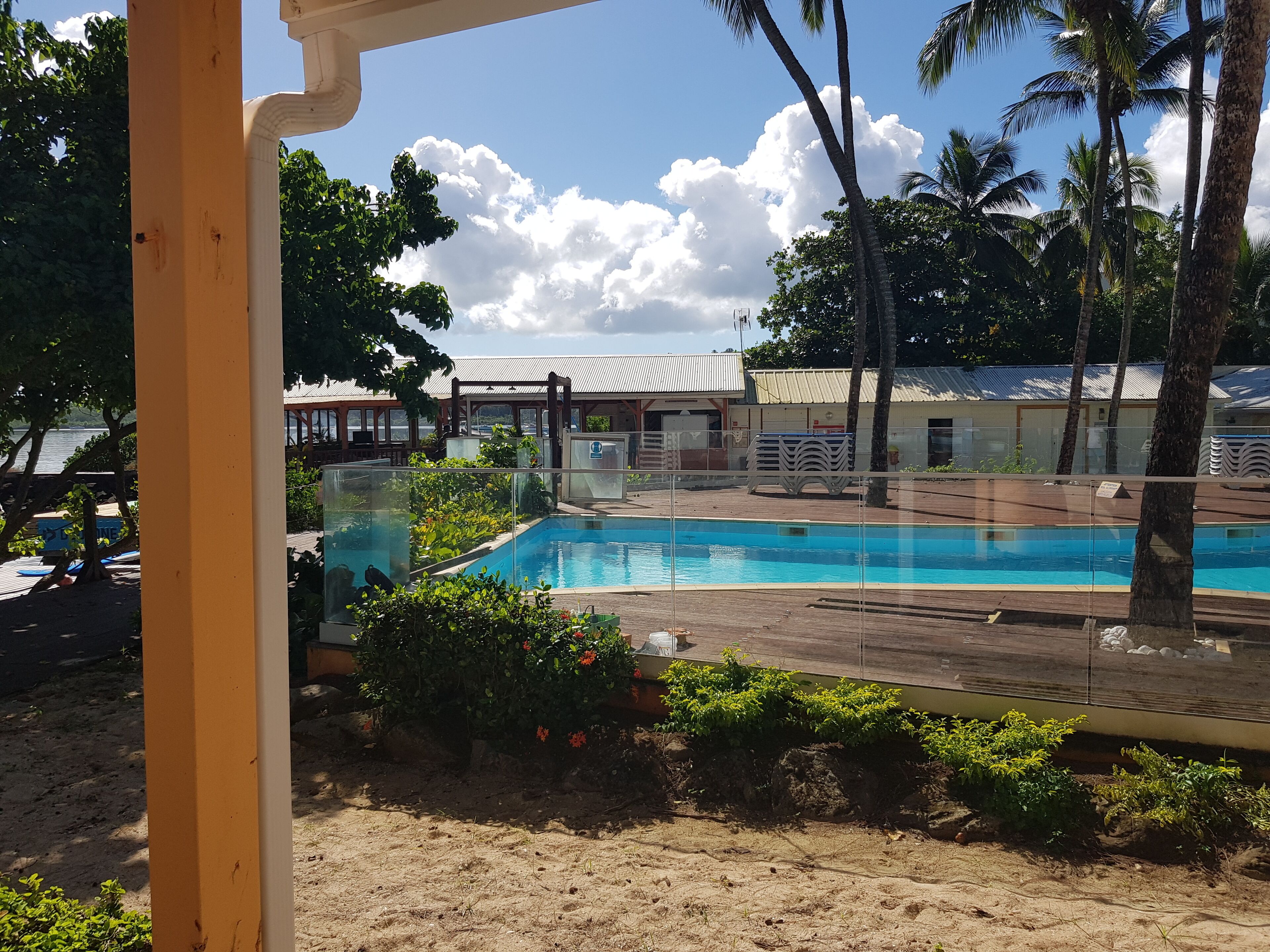 A pool area with a clear view of the water, surrounded by greenery and palm trees.