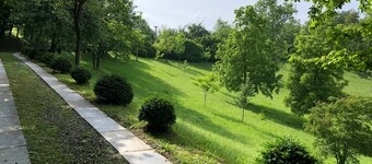 Apartment in Villa del 700 in Turin with Terrace and Garden