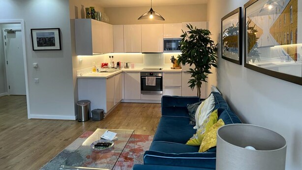 A compact living space with a kitchenette, a sofa, a coffee table, and a potted plant.