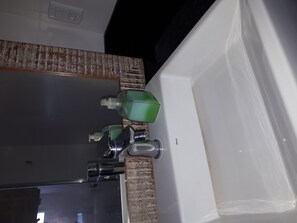 Shower, hair dryer, toilet paper