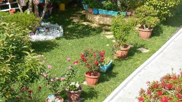 Área da propriedade