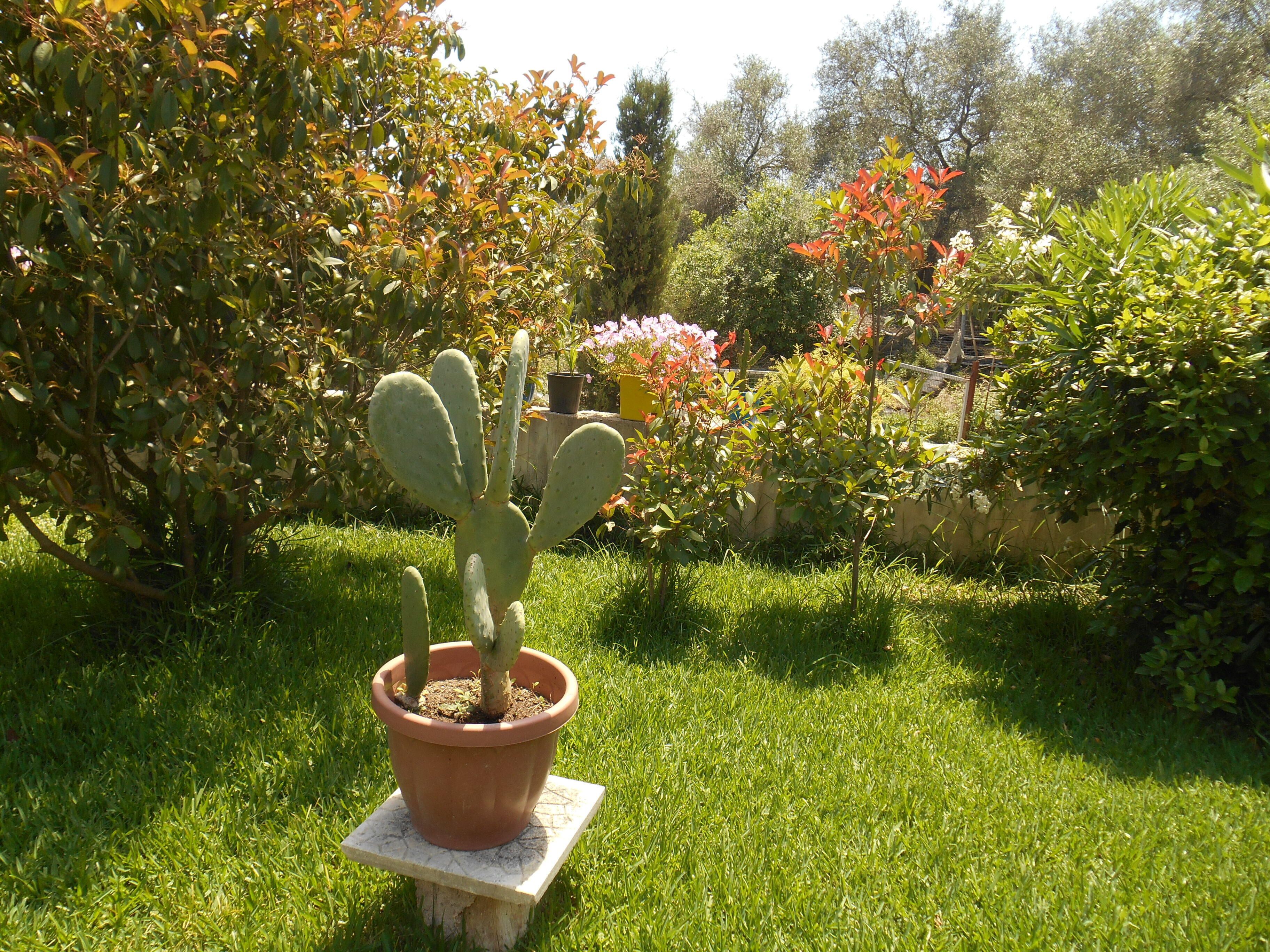 Área da propriedade