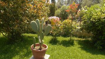 Área da propriedade