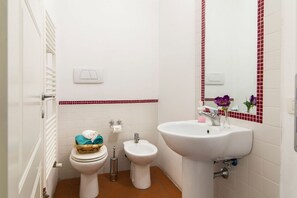 Regadera, secadora de cabello, bidet 
