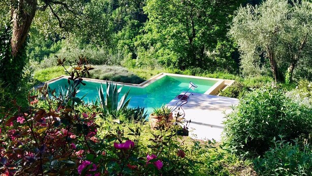 A rectangular swimming pool surrounded by lush greenery and trees. - Wonderful secluded place - il wokini (Pigna)
