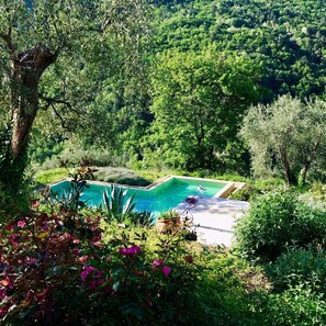 A rectangular swimming pool surrounded by lush greenery and trees. - Wonderful secluded place - il wokini (Pigna)
