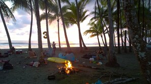 Enjoy a beachside campfire with stunning ocean views, surrounded by palm trees and the sound of the waves.