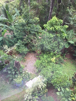 Stroll through this serene garden, surrounded by a variety of lush plants and trees.