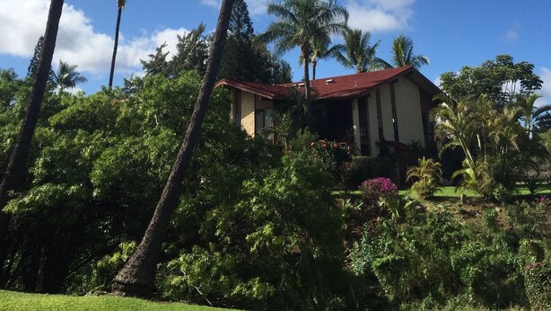Une maison entourée d’une végétation luxuriante et de grands palmiers, sous un ciel bleu dégagé.