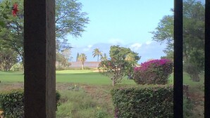 Une vue d’un jardin luxuriant, avec une grande variété de plantes et un petit étang.
