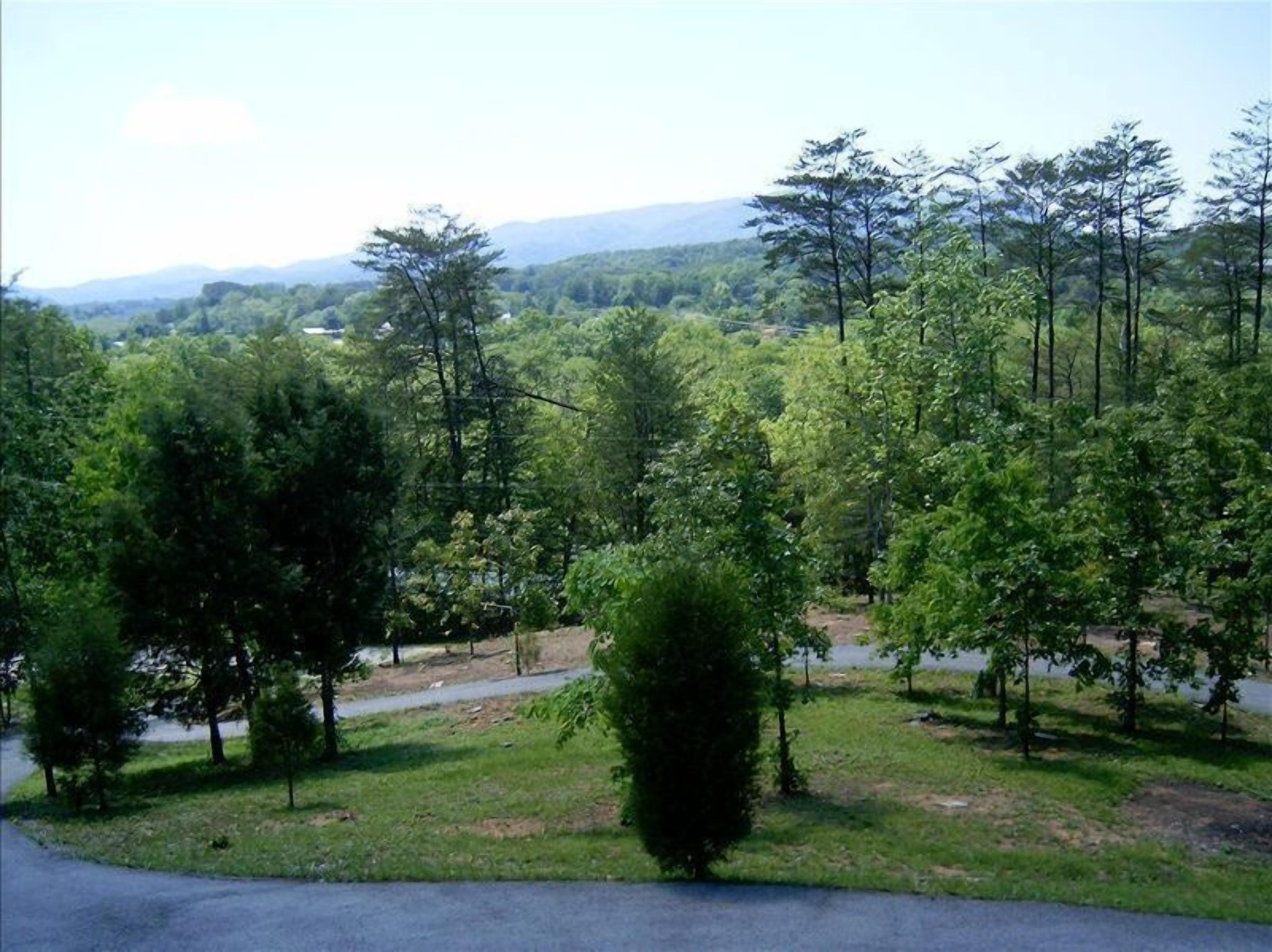 A view of a forested area with a road and a body of water in the distance.