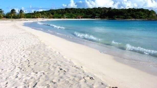 Una playa con aguas cristalinas, orilla arenosa y vegetación boscosa al fondo.