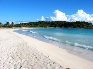 Ein Strand mit klarem Wasser, sandigem Ufer und bewaldetem Hintergrund.