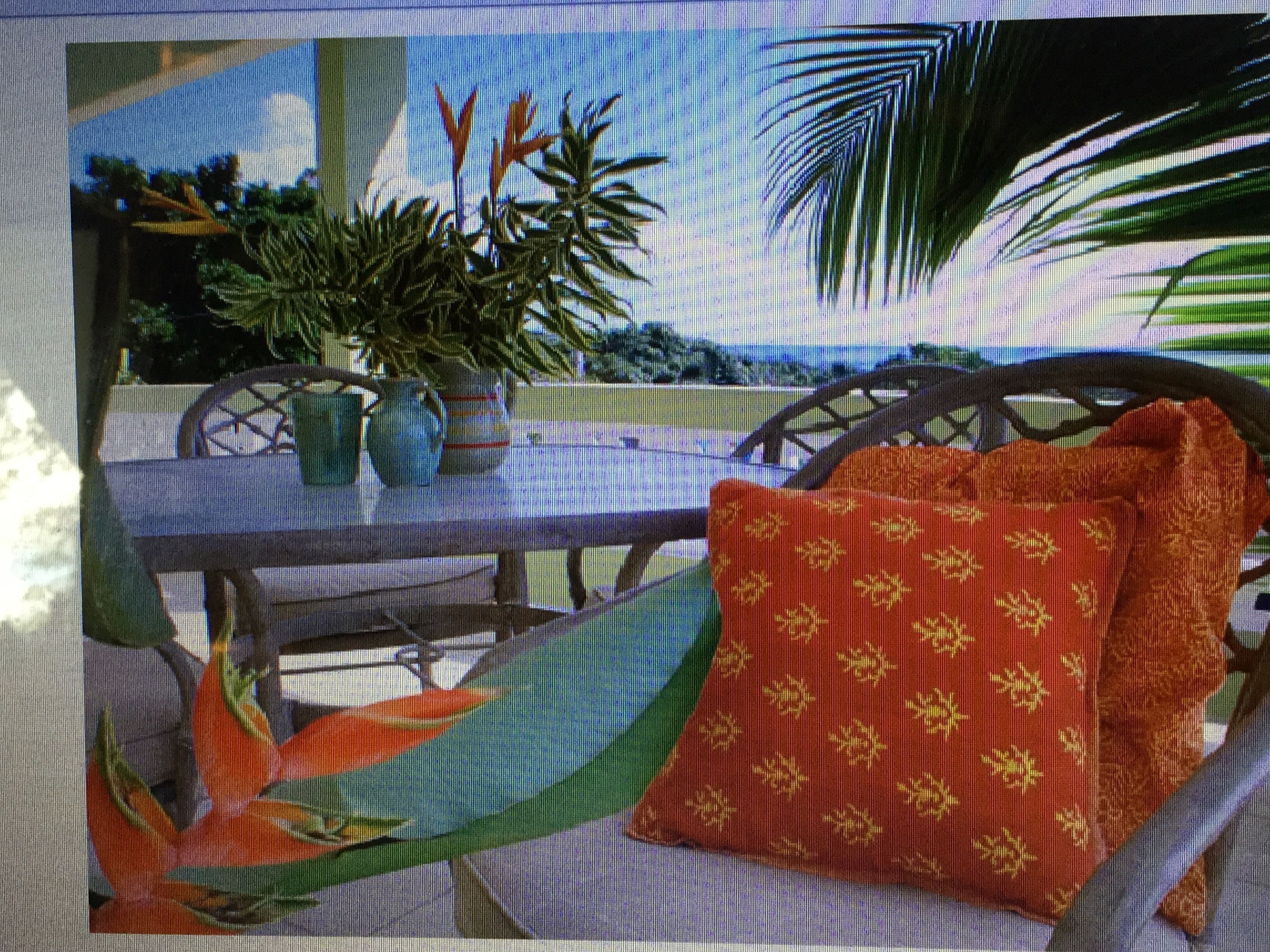 Una mesa con sillas, un cojín rojo estampado y plantas en macetas.