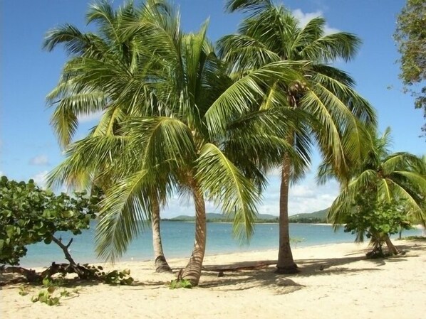 Beach nearby, sun loungers, beach towels