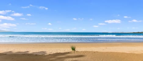 On the beach