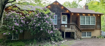 Quiet Cabin Escape with hot tub for max 10 adult + kids