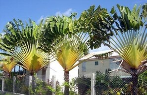 المنطقة المحيطة بالمنشأة