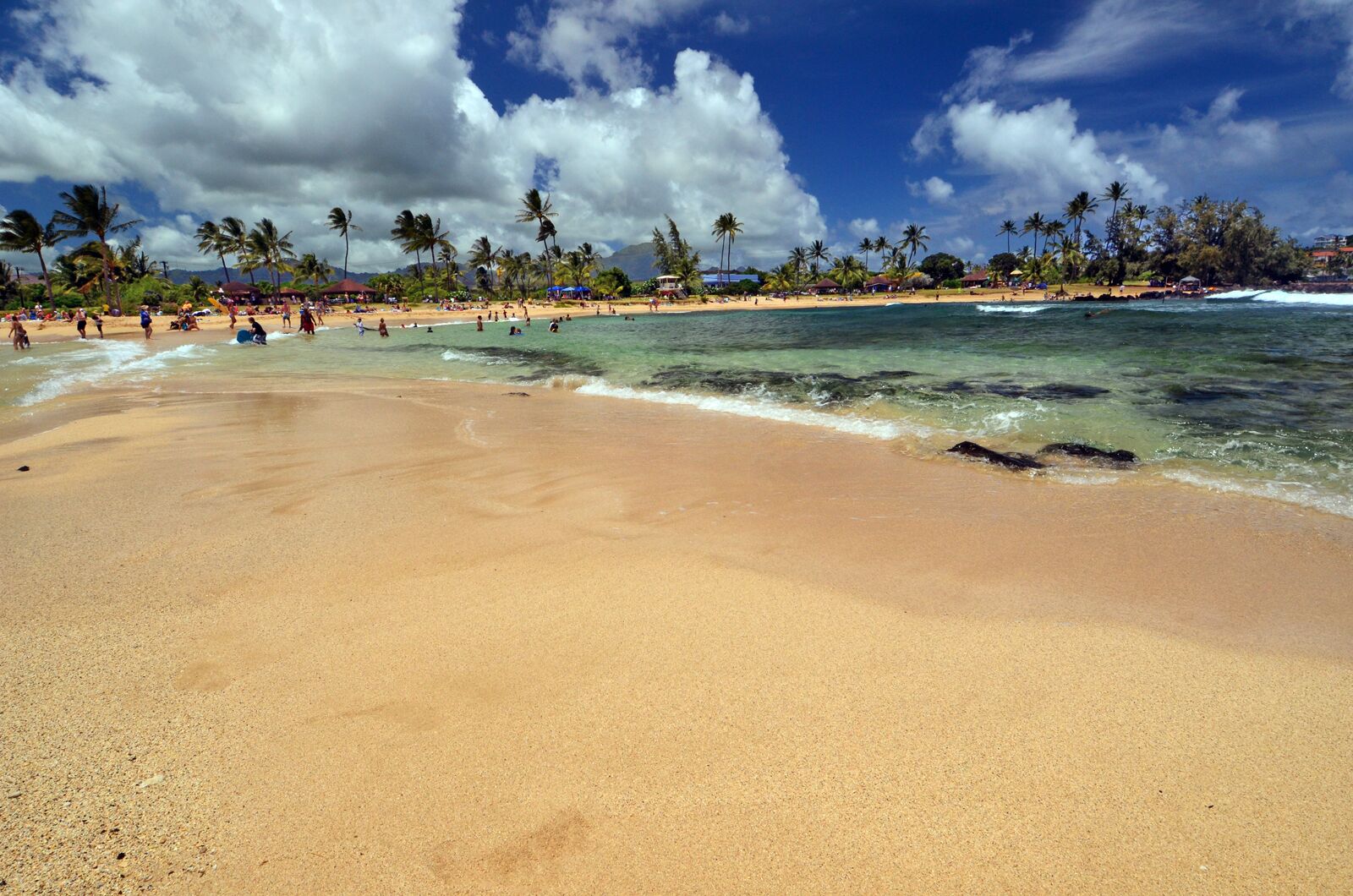 A beach with clear water, palm trees, and people.
