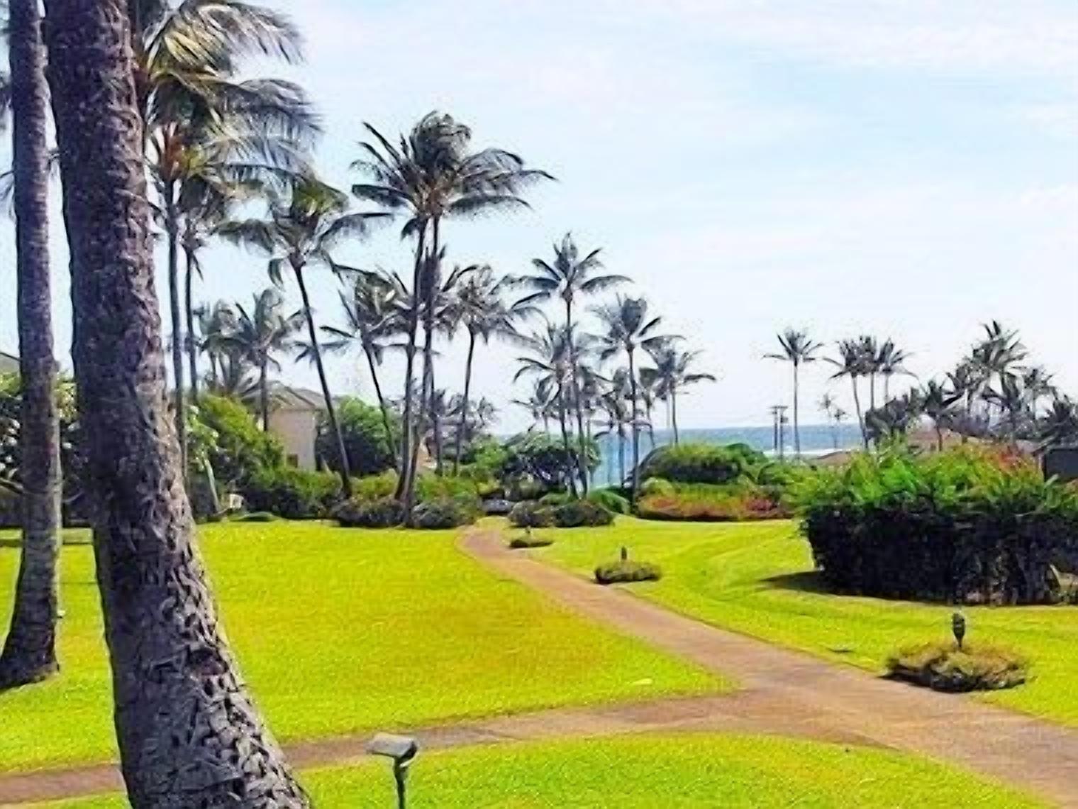 Ein Weg durch eine angelegte Grünfläche mit Palmen und Blick auf das Meer.