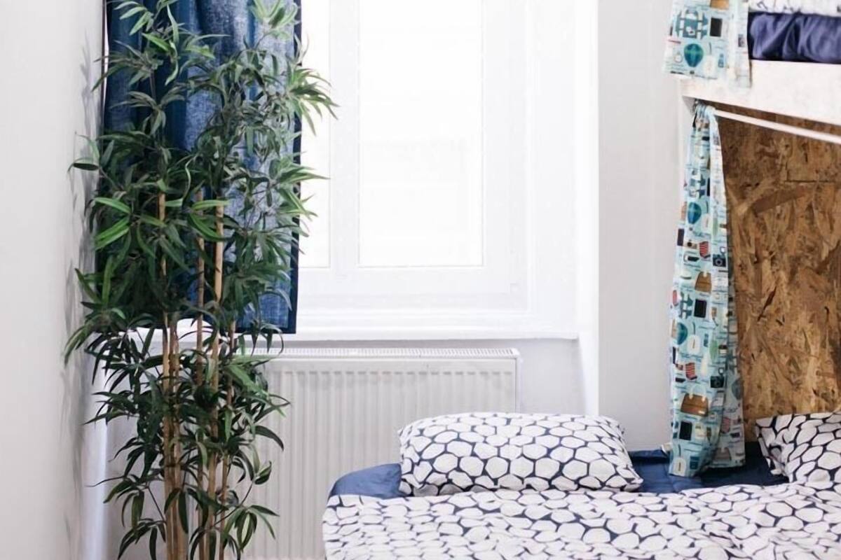 A room with a bunk bed, a potted plant, and a window with curtains.
