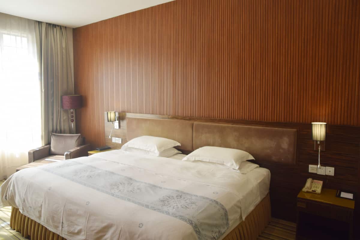 Desk, blackout drapes, iron/ironing board (on request), WiFi (free)