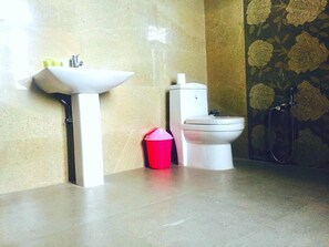 Habitació doble o amb dos llits individuals Deluxe, 1 llit doble, fumadors, vistes a la muntanya | Bany | Dutxa i tovalloles