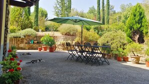 Un patio exterior con una mesa y sillas bajo un paraguas verde, rodeado de plantas en macetas y árboles.