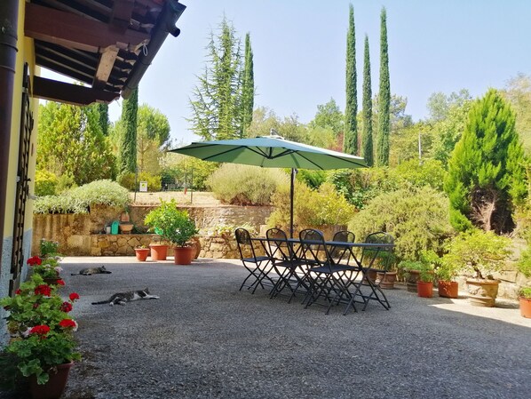 An outdoor patio with a table and chairs under a green umbrella, surrounded by potted plants and trees.