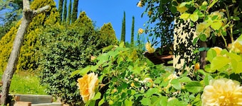 CASA SOLEALTO - Cozy apartment in the countryside near Florence Arezzo and Siena