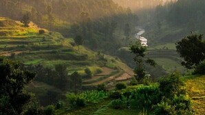 Pemandangan dari hartanah