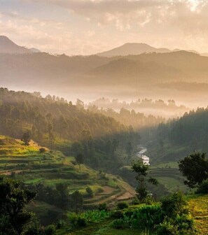 Vista desde la propiedad