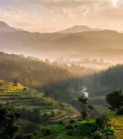 Vistas desde el alojamiento