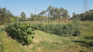 Jardín
