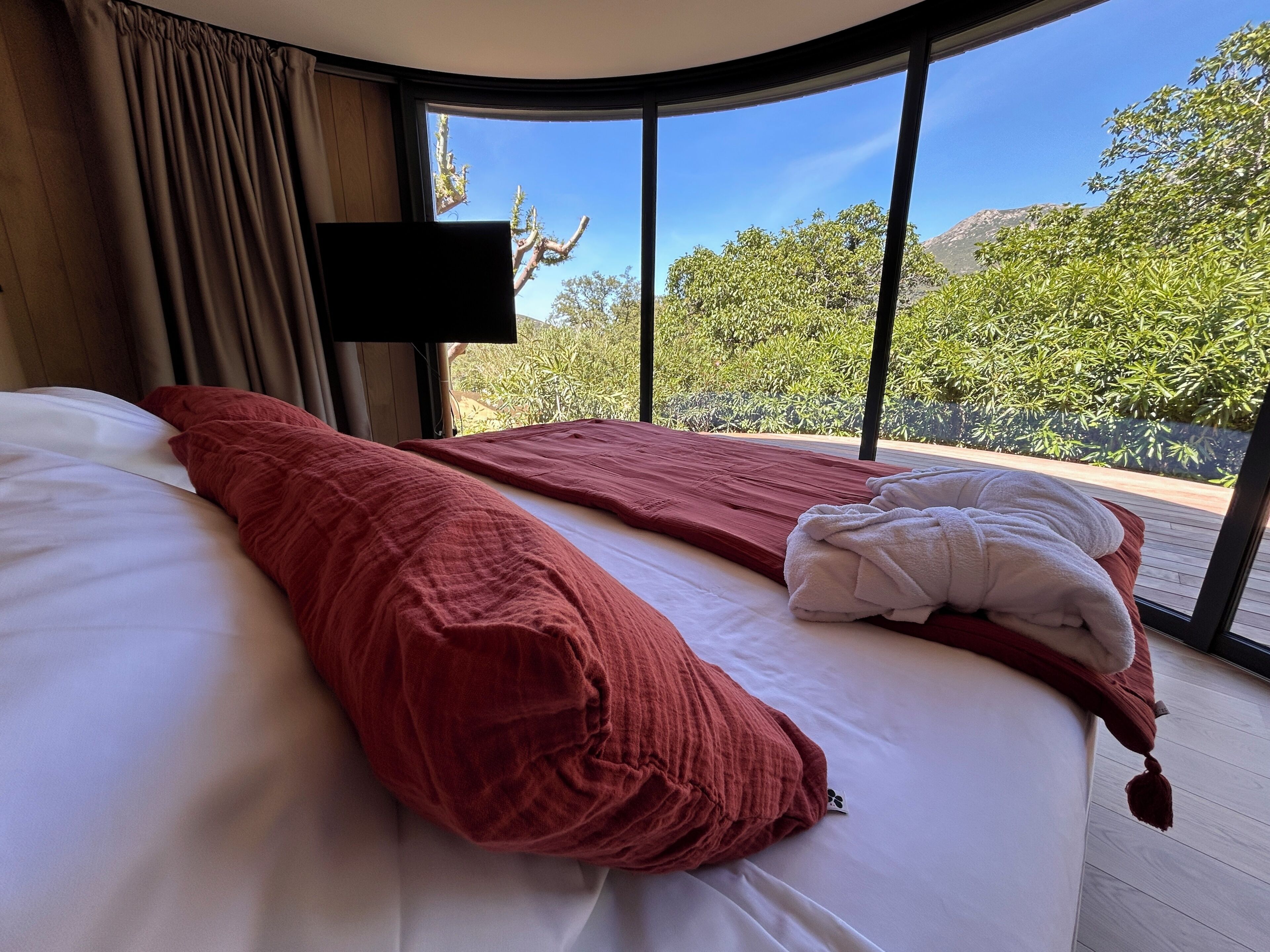 Deluxe suite | Een minibar, een kluis op de kamer, individueel gedecoreerd
