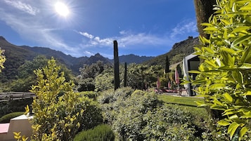Un jardín exuberante con una zona de estar, un árbol alto y montañas al fondo.