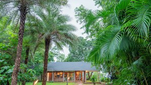 A house surrounded by lush greenery, with a pathway leading to the entrance. - Forest Hills at Tala (Tala)